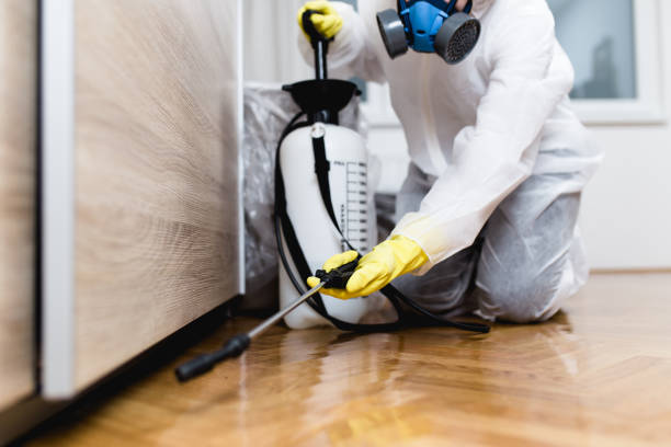Best Termite Control Services  in Aubrey, TX