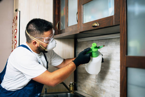 Best Residential Pest Control  in Aubrey, TX