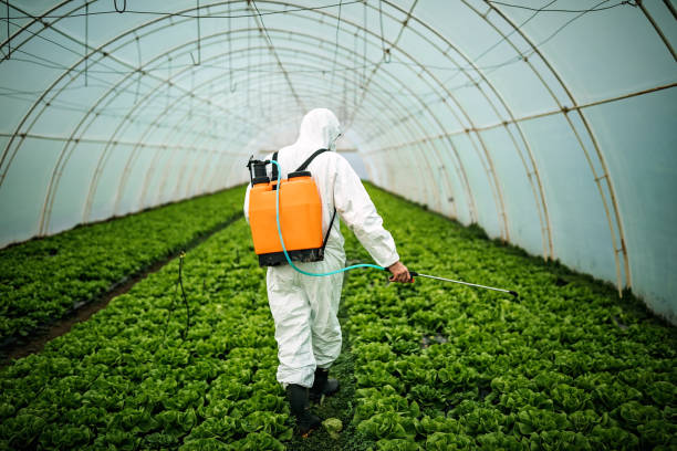 Best Residential Pest Control  in Aubrey, TX