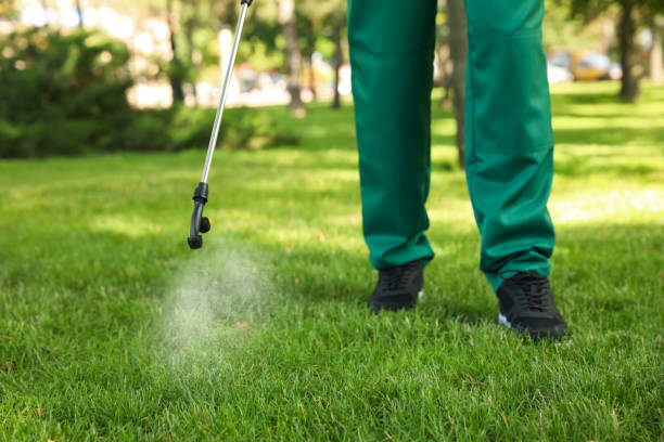 Best Pest Control Near Me  in Aubrey, TX
