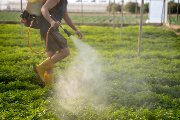 Best Best Pest Control Companies  in Aubrey, TX