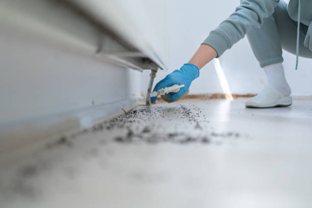Pest Prevention Services in Aubrey, TX