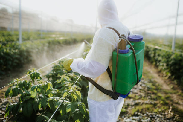 Best Cockroach Control Services  in Aubrey, TX